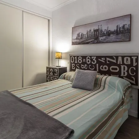 Apartment Atico Pintor Aparicio