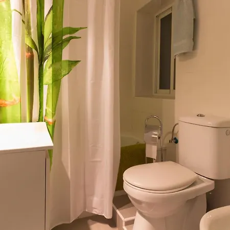 Atico Pintor Aparicio Appartement